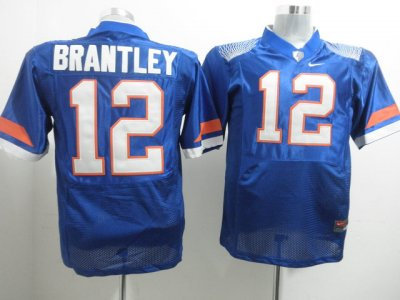 Gators #12 John Brantley Blue Embroidered NCAA Jersey