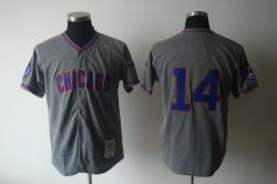 MLB Chicago Cubs #14 Brank Grey Jerseys MLB Chicago Cubs #14 Brank Grey Jerseys