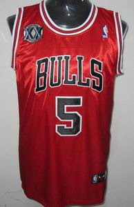 Chicago Bulls 5 Carlos Boozer RED Road 20th anniversary
