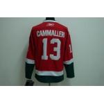NHL Montreal Canadiens #13 cammalleri RedGreen NHL Montreal Canadiens #13 cammalleri RedGreen