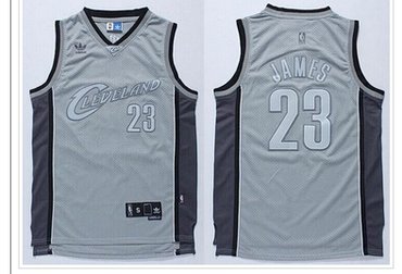 Cleveland Cavaliers #23 LeBron James Stitched Grey Anniversary Style NBA Jersey