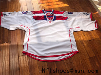 Customized NHL goalie Jerseys(any team any name  any number)