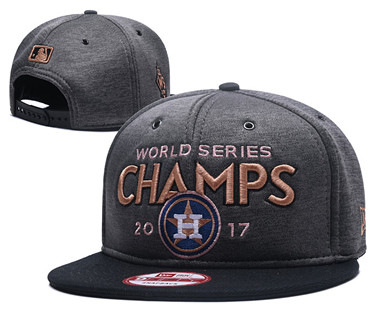 MLB Houston Houston Astros Graphite 2017 World Series Champions Adjustable Hat