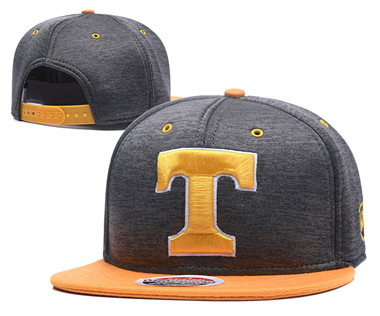 MLB Texas Rangers Fresh Logo Gray Snapback Adjustable Hat