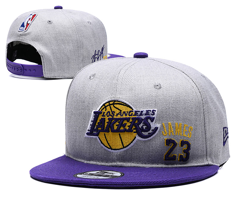 NBA Los Angeles Lakers Team Logo Purple Mitchell & Ness Adjustable Hat 