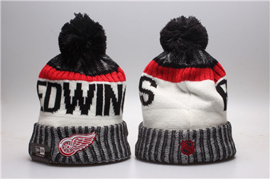 NHL Detroit Red Wings Team Logo Knit Hat