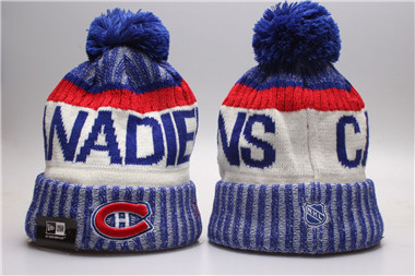 NHL Montreal Canadiens Team Logo Knit Hat